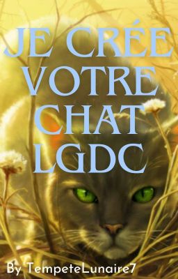 Je Crée votre Chat LGDC