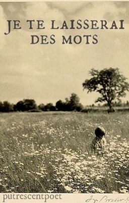 JE TE LAISSERAI DES MOTS ━━ poetry