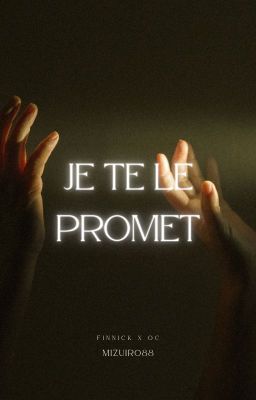 Je Te Le Promet [Finnick x OC]