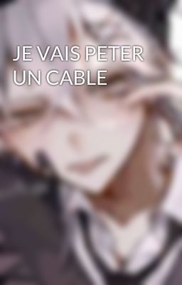 JE VAIS PETER UN CABLE