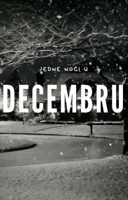 Jedne noći u decembru/Duje Ć. Car/ZAVRŠENA 