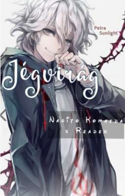 🌫Jégvirág 🌫 /Nagito Komaeda x Reader/ -Átmenetileg hiátuson-