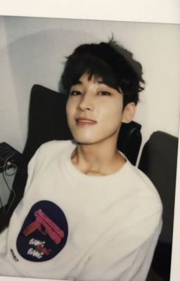 Jeon Wonwoo es... [Meanie]