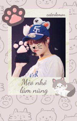 JICHEN | Mèo nhỏ làm nũng