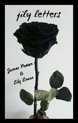 jily letters || james potter&lily evans