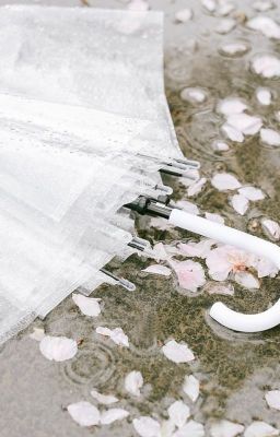 Jjk.pjm\\\ Người mang hương nắng