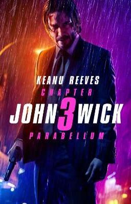 John Wick 3 Parabellum (John Wick x Female!Reader)