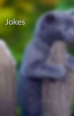 Jokes