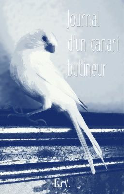 Journal d'un canari butineur