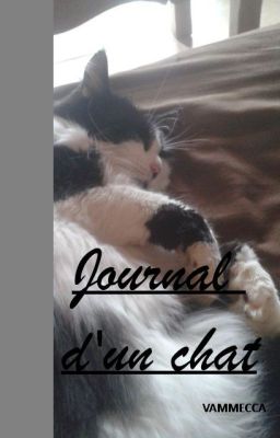 Journal d'un chat