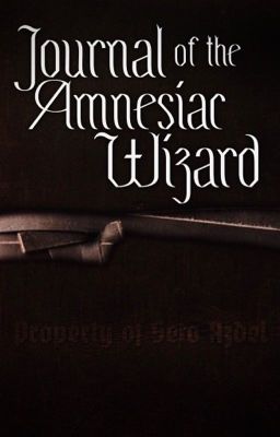 Journal of the Amnesiac Wizard: A Setosorcerer/FyreUk/GoldSolace Story