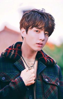 [JUNGKOOK  FANFIC ] Kết hôn với Antifan