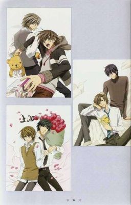 Junjou Romantica (MPREG)