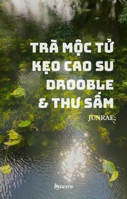 JUNRAE; TRÀ MỘC TỬ, KẸO CAO SU DROOBLE VÀ THƯ SẤM