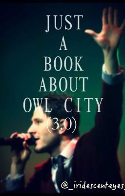 Just A Book About Owl City (3.0)