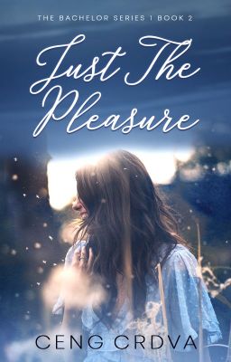 Just The Pleasure ( TBS 1 - Book 2 )