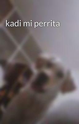 kadi mi perrita