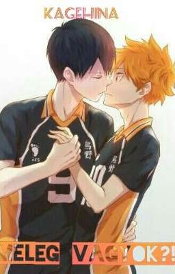 Kagehina - Meleg vagyok?!