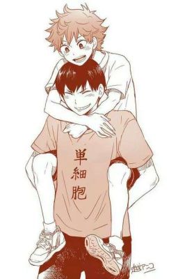 KageHina-Szárnyaljunk együtt