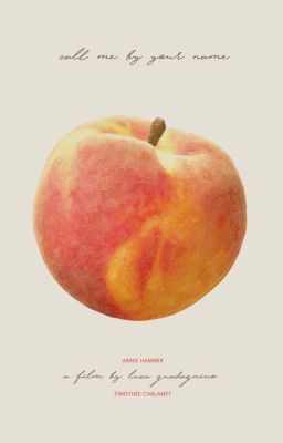 KaiSagi/KaiIsa/kiis - Call me by your name.