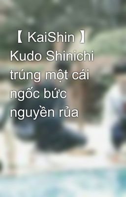 【 KaiShin 】 Kudo Shinichi trúng một cái ngốc bức nguyền rủa