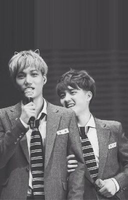 [KaiSoo] Chỉ là tình cờ