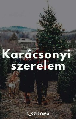 Karácsonyi szerelem /Befejezett/