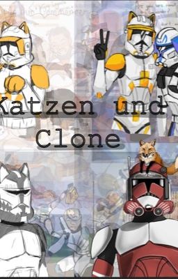 Katzen und Clone 