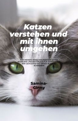 Katzen verstehen und mit ihnen umgehen