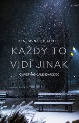 Každý to vidí jinak [ Christmas calendar 2020 ]