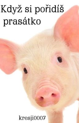 Když si pořídíš prasátko🐷