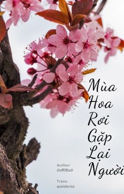 [Kepat\ABO\Transfic] MÙA HOA RƠI GẶP LẠI NGƯỜI