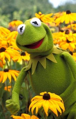 KERMIT & THE MUPPET SHOW [ SOCIAL MEDIA ] --