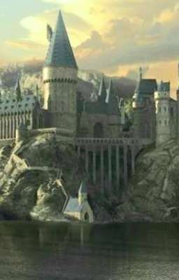 Khi Du Phù Thủy Sinh Đông Lào Nhập Học Hogwarts