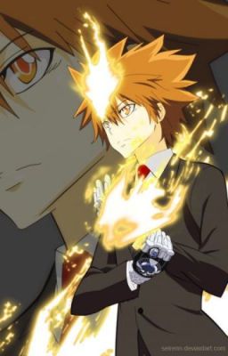 Khi Siêu anh hùng gặp Vongola