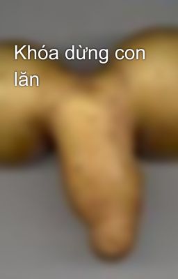 Khóa dừng con lăn