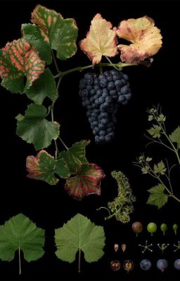 Khoảng Cách Đến Trái Tim Anh