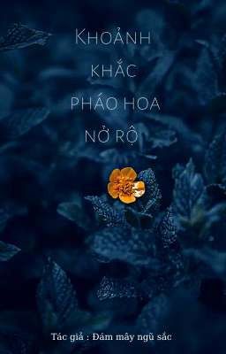  Khoảnh khắc pháo hoa nở rộ 