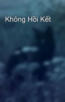 Không Hồi Kết