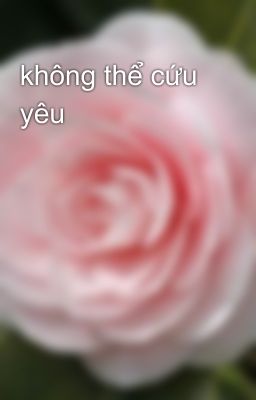 không thể cứu yêu 