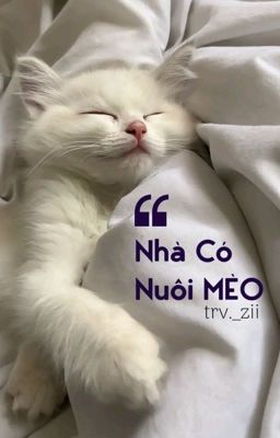 |KimZhuo| Nhà Có Nuôi Mèo