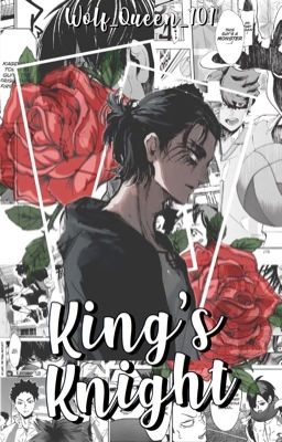 king's knight • haikyuu