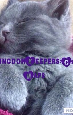 Kingdom Keepers:Cat Naps 