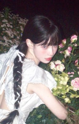 (Kise/Reader) Redamancy