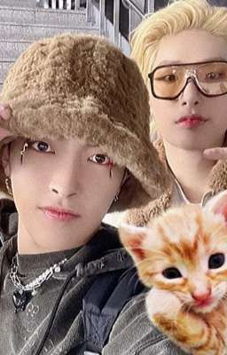 Kitten and love ♡ MinJoong 