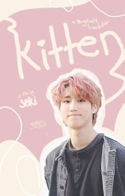 Kitten (minsung)