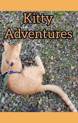 Kitty Adventures