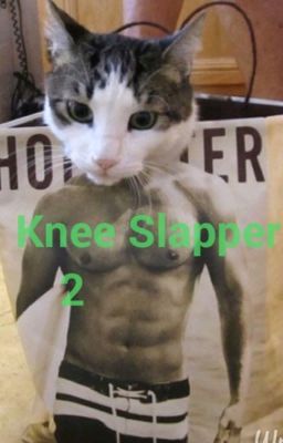 Knee Slapper 2