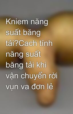 Kniem năng suất băng tải?Cach tính năng suất băng tải khi vận chuyển rời vụn va đơn lẻ