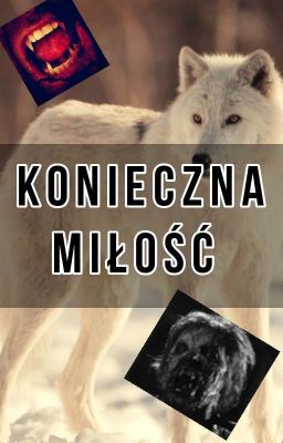 Konieczna Miłość